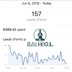 Photo of ROI Mogul