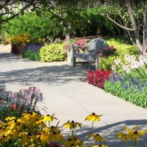 Photo of Greenside