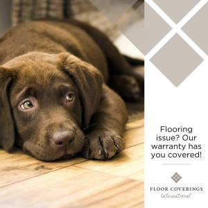 Photo of Floor Coverings International