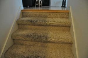 Photo of Hot Shot Carpet Cleaning