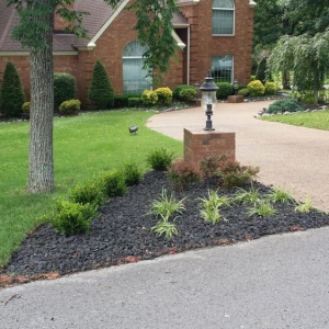 Photo of Tennessee Turf Lawncare Services