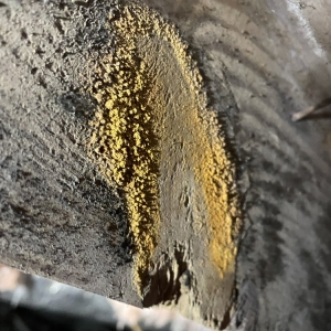 Photo of Crawlspace ER