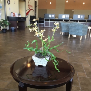 Photo of Evolve Federal Credit Union