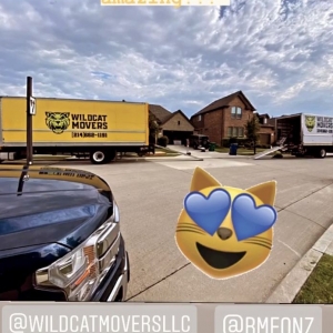 Dallas Wildcat Movers - Dallas