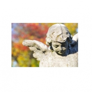 Photo of Midsouth Monuments