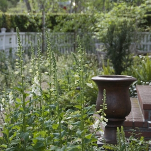 Photo of Verdance Landscape Architecture