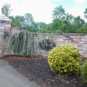 Photo of Esparza Stone