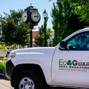 Photo of EcoGuard Pest Management