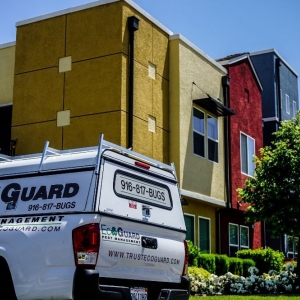 Photo of EcoGuard Pest Management