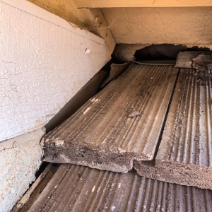 Photo of EcoGuard Pest Management