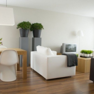 Photo of Euro Eco House Cleaning