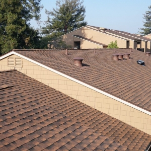 Photo of Moriarty's Roofing