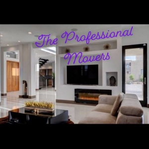 Photo of The Professional Movers