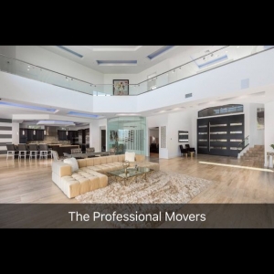 Photo of The Professional Movers