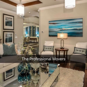 Photo of The Professional Movers