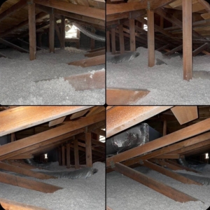 Photo of California Attic & Build