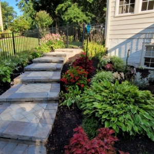 Springfield Cassella Landscaping