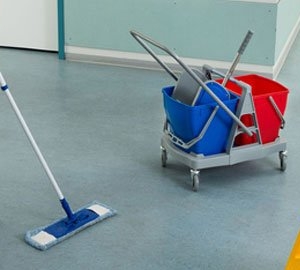 Photo of Lucy's Professional Cleaning Services