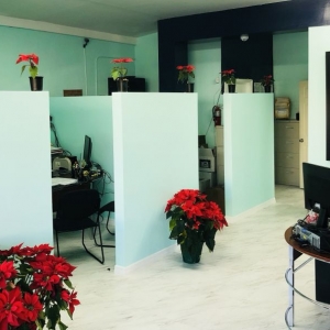 Photo of Musas Accounting Services