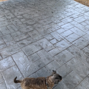 Photo of BTS Concrete