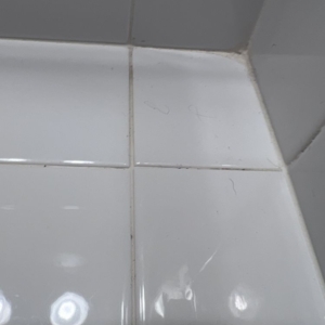Photo of Bravo's House Cleaning