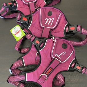 Photo of Embroidery LV