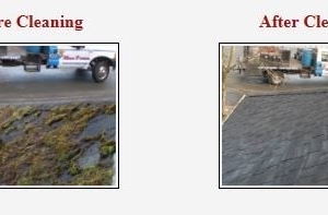 Photo of Moss Patrol