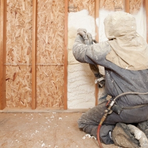 Photo of Spring Insulation