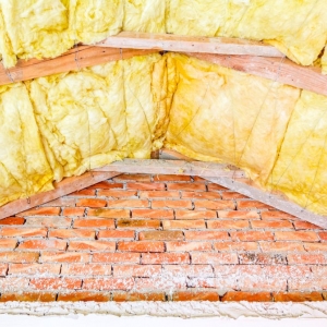 Photo of Spring Insulation