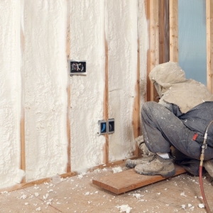 Photo of Spring Insulation