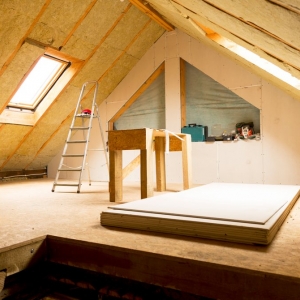 Photo of Spring Insulation