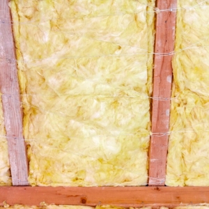 Photo of Spring Insulation
