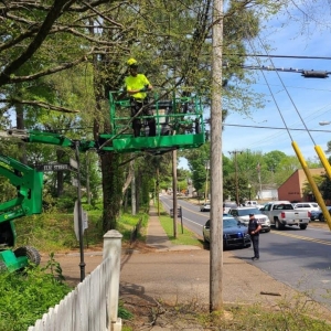 Photo of Hatchie Tree Service