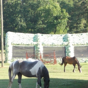 Photo of SpiritHorse Therapeutic Riding Center & Equine of Mississippi