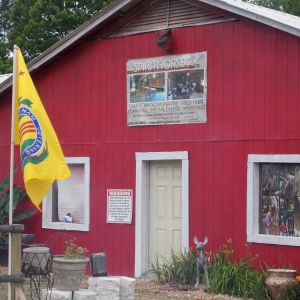 Photo of SpiritHorse Therapeutic Riding Center & Equine of Mississippi