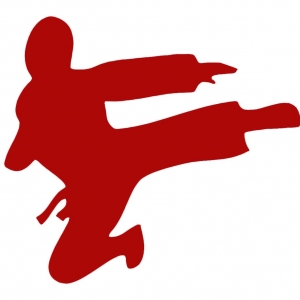 Photo of Ninja Code X