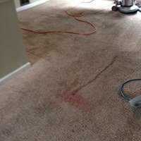 Photo of Hot Scrub Carpet Cleaning