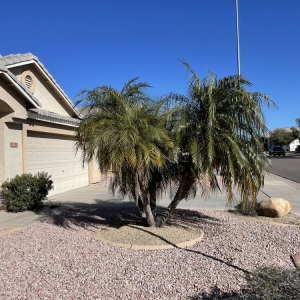 Apache Junction Montoya's Landscaping