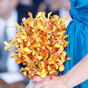 Photo of Lush Celebrations