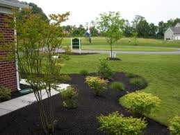 Photo of Cortez Sunshine Landscaping