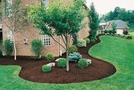 Photo of Cortez Sunshine Landscaping
