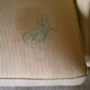 Photo of Randy's Carpet Care