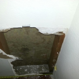 Photo of SERVPRO of San Gabriel