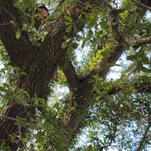 Photo of A & R Tree and Landscaping