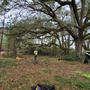 Photo of A & R Tree and Landscaping