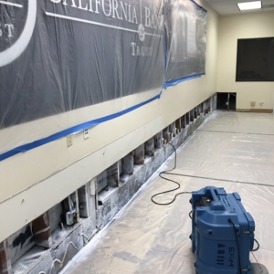 Photo of Advanced 1 Restorations
