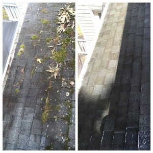 Photo of Brookeville Pressure Cleaning and Deck Restoration