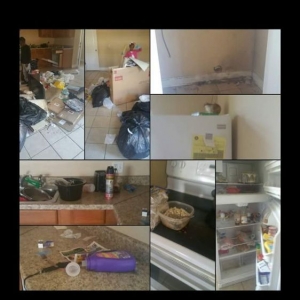 Photo of Hanna Cleaning Service