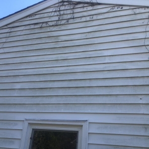 Photo of Cynergy Pressure Washing