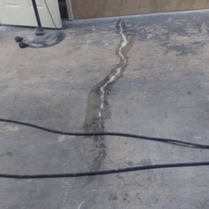 Photo of Accolade Floor Coating